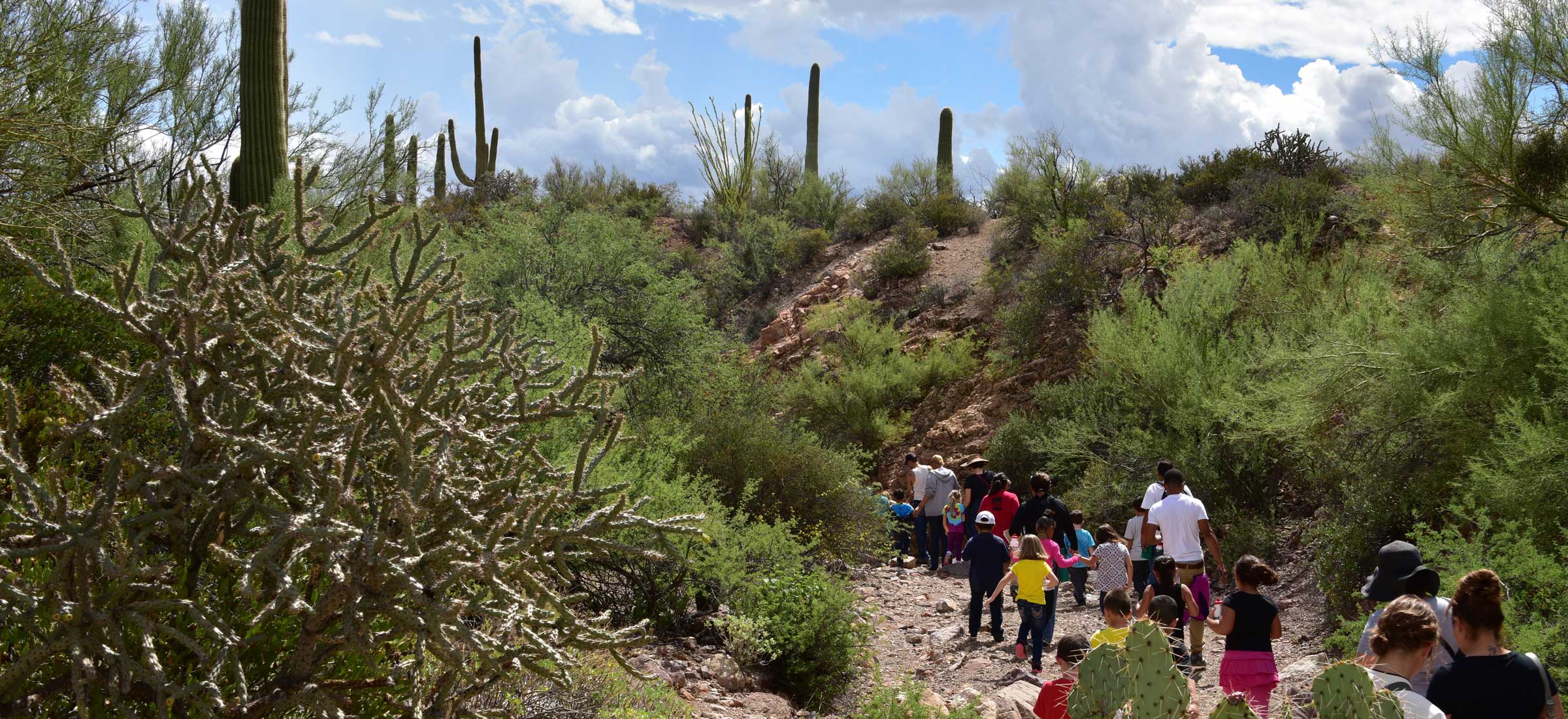 Kids and Adults Hiking at Camp Cooper in Tucson Arizona