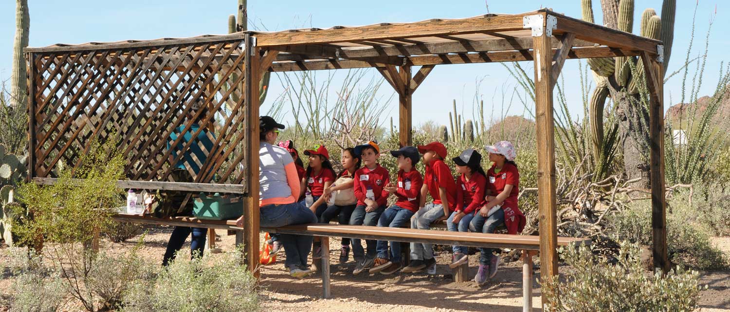 Learning Time in the Sonoran Desert at Camp Cooper
