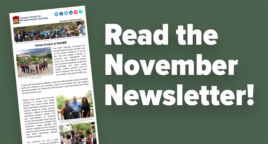 November Newsletter News Banner