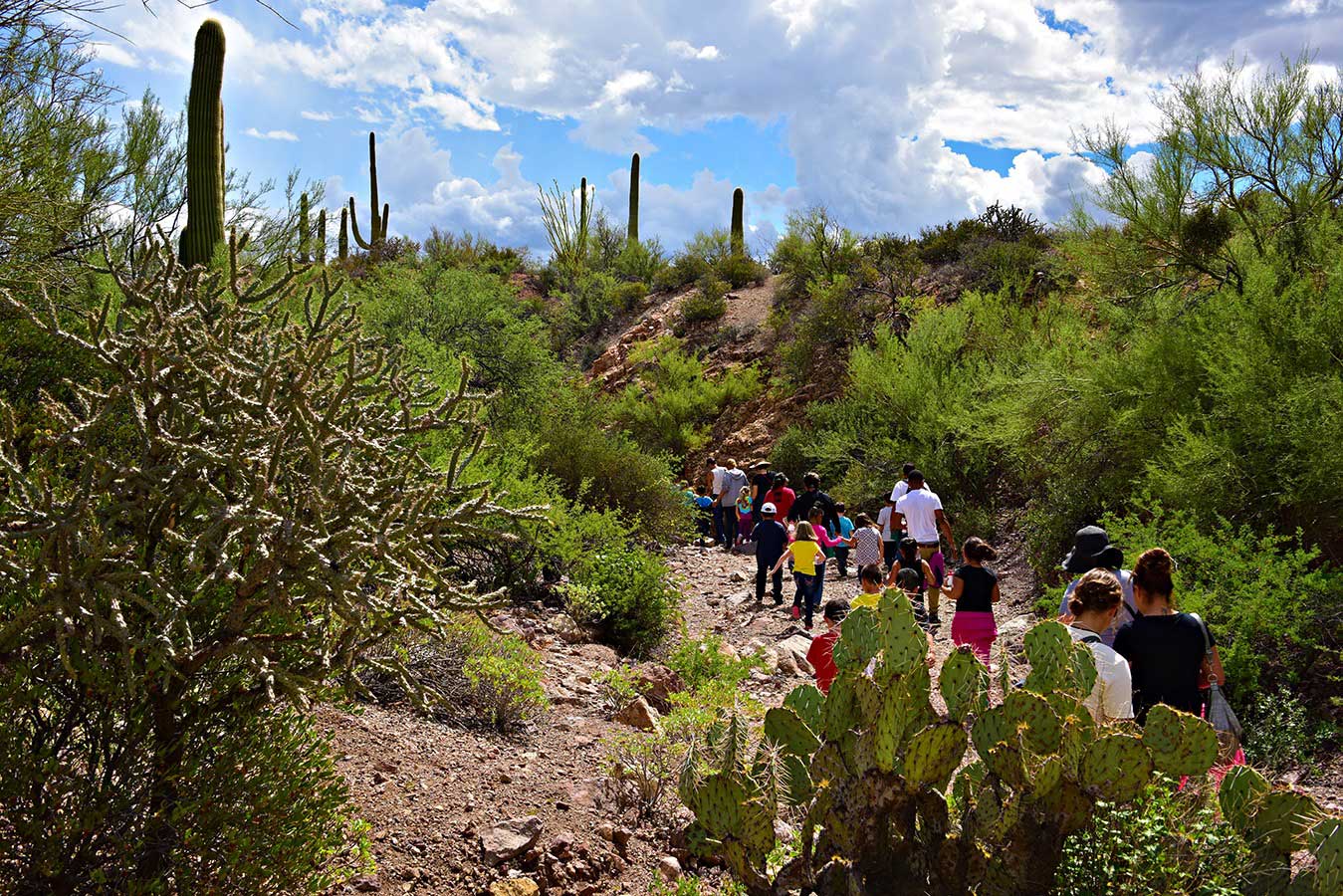 Camp Cooper Tucson - Kids Hiking In Desert Wash