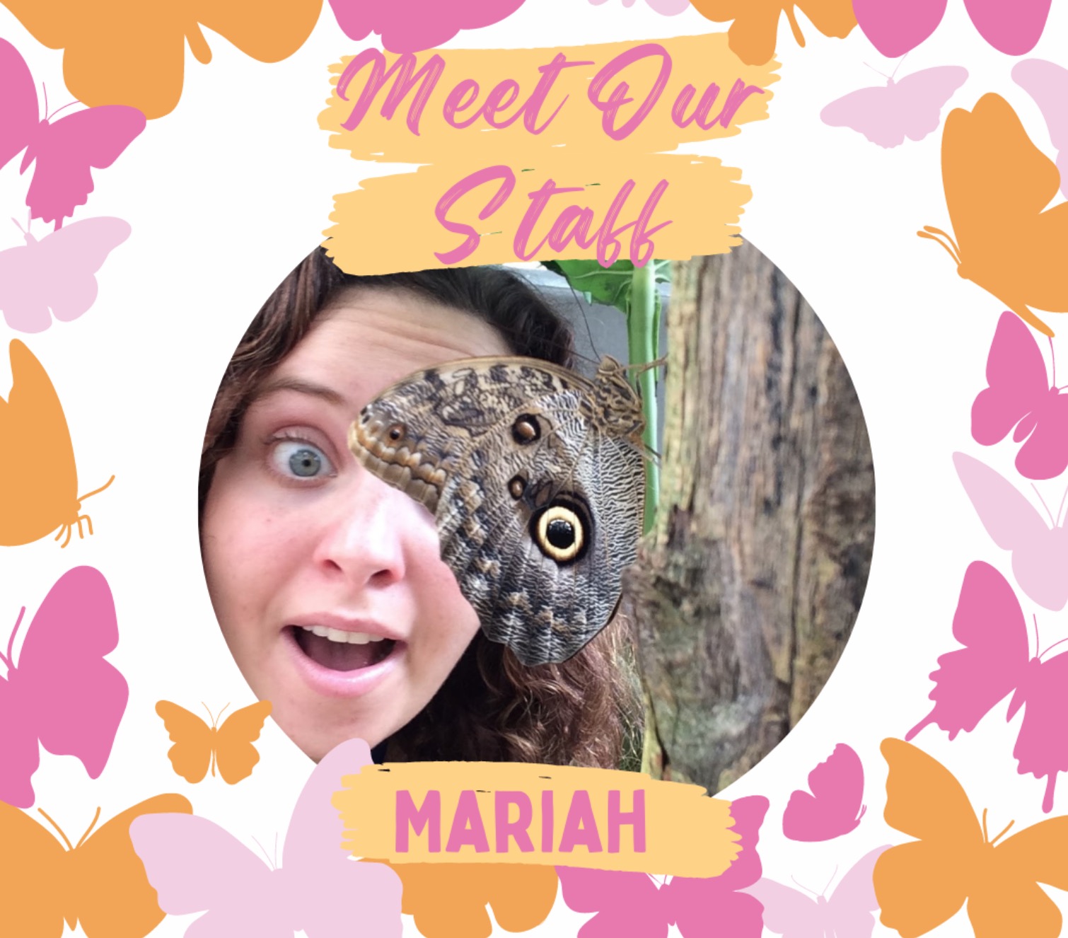 A photo of our staff member Mariah with an Al Butterfly with the words "Meet Our Staff" written above in pink and below the image reads her name. Surrounding the image and words are silhouettes of various butterflies in bright pink, pastel pink, & orange.