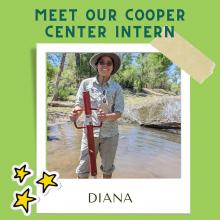 Top: words "Meet our Cooper Center Intern" and underneath that is a polaroid picture with our intern Diana. Graphics surround the picture to give the effect that her image is sticking to the lime green background.