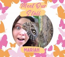 A photo of our staff member Mariah with butterflies all around.