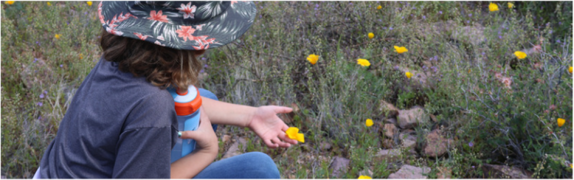 young adult kneeling looking at a yellow desert flower