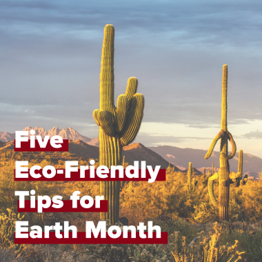 desert landscape scenery titles Five Eco Friendly Tips for Earth Month