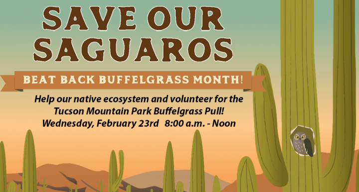 Save Our Saguaros Social Media Graphic