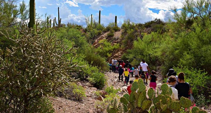 Camp Cooper Tucson - Kids Hiking In Desert Wash