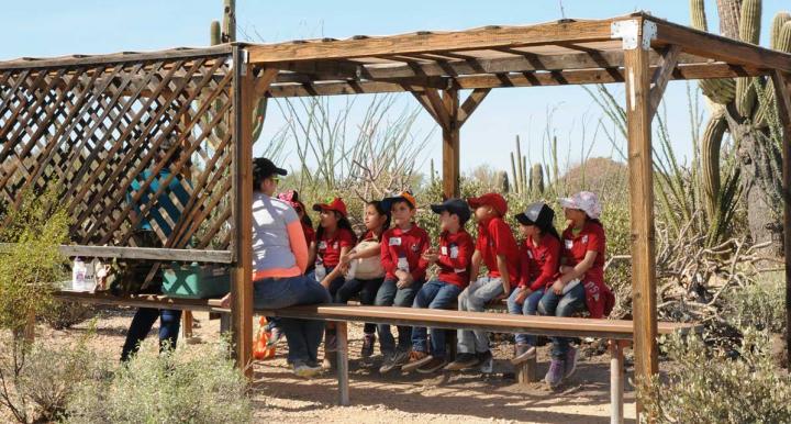 Learning Time in the Sonoran Desert at Camp Cooper