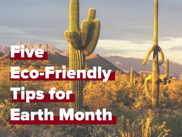 desert landscape scenery titles Five Eco Friendly Tips for Earth Month