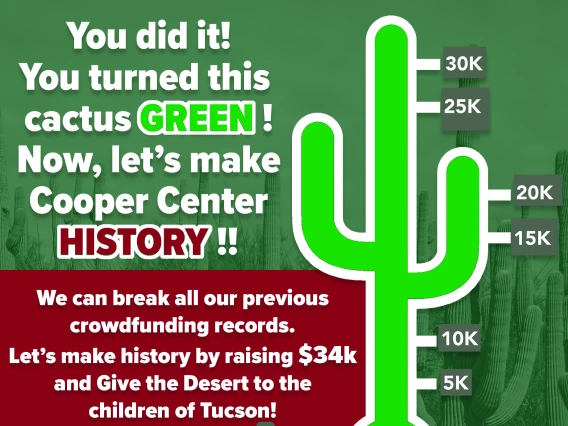 Cactus Graphic Update for Give the Desert - GREEN!
