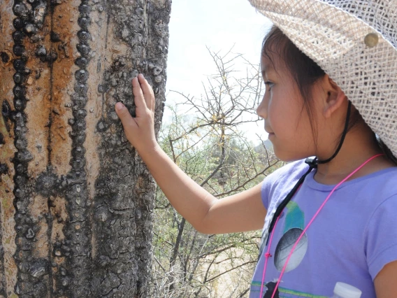 Hands On Nature