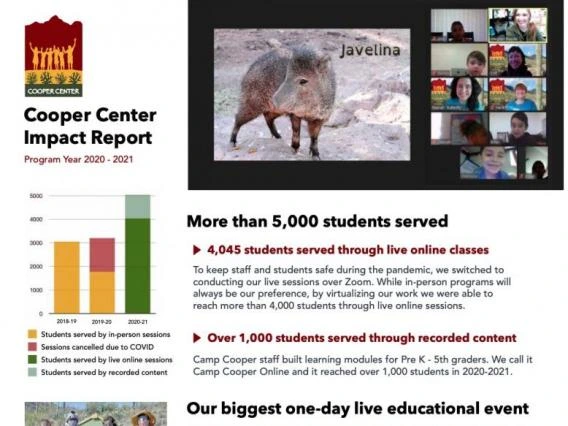 impact report 2021