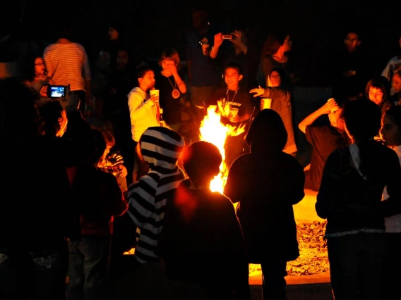 Kids At The Campfire
