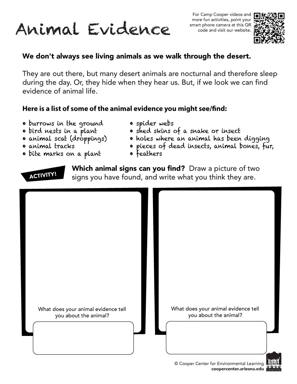 animal evidence worksheet