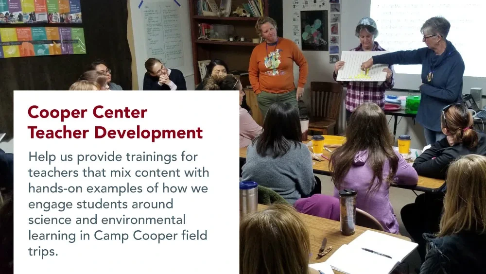 cooper center teacher development