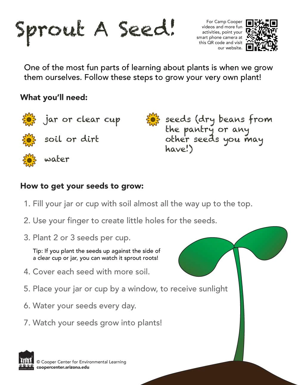 sprout a seed worksheet