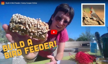 backyard birding bird feeder