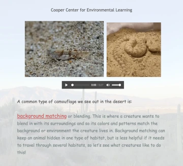 cryptic critters thumbnail