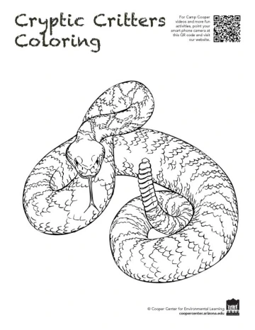 rattlesnake