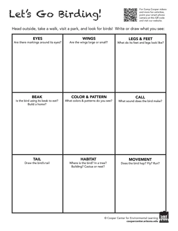 lets go birding worksheet