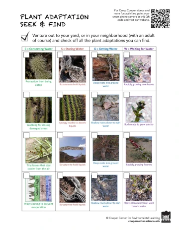 plant adaptation seek and find